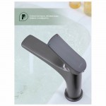 Смеситель для раковины Splenka графит S54.10.09 Смеситель для раковины Splenka графит S54.10.09