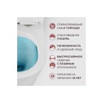 Унитаз подвесной Cezares Релакс (Relax) торнадо с сиденьем микролифт CZR-38088-49-TH-TOR/SC