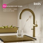 Смеситель для кухни IDDIS Спин (Spin) с каналом для фильтрованной воды и круговым дивертором золото матовое SPNMGCFi05 Смеситель для кухни IDDIS Спин (Spin) с каналом для фильтрованной воды и круговым дивертором золото матовое SPNMGCFi05
