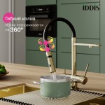 Смеситель для кухни IDDIS Эйс (Ace) с фильтром и гибким изливом матовое золото ACEMGFFi05 Смеситель для кухни IDDIS Эйс (Ace) с фильтром и гибким изливом матовое золото ACEMGFFi05