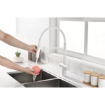 Смеситель Paulmark GRAVITY под фильтр с гибким изливом белый матовый Gr213888-WH