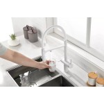 Смеситель Paulmark GRAVITY под фильтр с гибким изливом белый матовый Gr213888-WH
