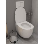Унитаз подвесной Baniera Спарта Торнадо 3.0 безободковый с быстросъемным сиденьем микролифт, 510х355х370, B12001 Унитаз подвесной Baniera Спарта Торнадо 3.0 безободковый с быстросъемным сиденьем микролифт, 510х355х370, B12001