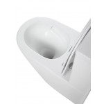 Унитаз подвесной River Michigan 520х360х365 безободковый с микролифтом белый глянец MICHIGAN 520 WT