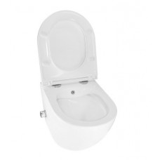 Унитаз подвесной AZARIO Grado AZ-046E-NR безободковый, с микролифтом, с биде