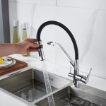 Смеситель для кухни Shevanik хром/черный S278