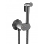 Гигиенический душ Weltwasser Higi R01 GG со смесителем и внутренней частью брашированная оружейная сталь 10000013655