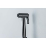 Гигиенический душ Aquatek Европа со смесителем вороненая сталь AQ1021BGM Гигиенический душ Aquatek Европа со смесителем вороненая сталь AQ1021BGM