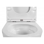 Унитаз подвесной Aquatek Европа 490*360*320 безободковый с сидением микролифт белый AQ1900T-00