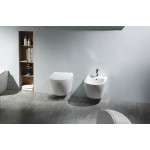 Унитаз подвесной Aquatek Европа 490*360*320 безободковый с сидением микролифт белый AQ1900T-00