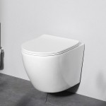 Унитаз подвесной безободковый с быстросъемным сиденьем микролифт Am.Pm Like C801900SC