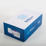 Смеситель для ванны с душем BelBagno Unique хром UNIQUE-VASM-L-CRM