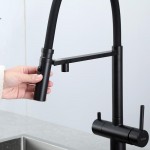 Смеситель кухонный Gappo со встроенным краном питьевой воды и гибким изливом черный G4397-86 Смеситель кухонный Gappo со встроенным краном питьевой воды и гибким изливом черный G4397-86