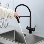 Смеситель кухонный Gappo со встроенным краном питьевой воды и гибким изливом черный G4397-86 Смеситель кухонный Gappo со встроенным краном питьевой воды и гибким изливом черный G4397-86