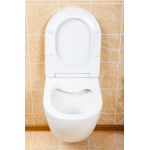 Инсталляция Grohe Rapid SL 3 в 1 с кнопкой смыва + Унитаз подвесной Zandini Garda сиденьем микролифт белый 3877200/z19-05