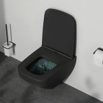 Унитаз подвесной AM.PM Inspire V2.0 FlashClean быстросъемное сиденье микролифт C50A1700MBSC