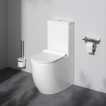 Унитаз-компакт Am.Pm Like безободковый с сиденьем микролифт белый C808600SC Унитаз-компакт Am.Pm Like безободковый с сиденьем микролифт белый C808600SC