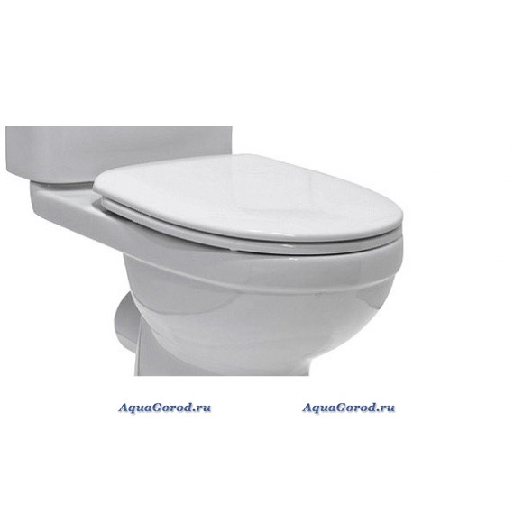 Сиденье для унитаза Am.Pm Joy, микролифт C857851WH