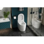 Унитаз приставной Abber Bequem вертикальный выпуск с импульсным смывом сиденье микролифт белый AC1114P Унитаз приставной Abber Bequem вертикальный выпуск с импульсным смывом сиденье микролифт белый AC1114P