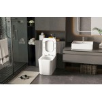 Унитаз приставной Abber Rechteck вертикальный выпуск с импульсным смывом сиденье микролифт белый AC1212P Унитаз приставной Abber Rechteck вертикальный выпуск с импульсным смывом сиденье микролифт белый AC1212P