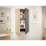 Шкаф Cersanit Smart P-SW-SMA/Wh 35 см универсальный белый Шкаф Cersanit Smart P-SW-SMA/Wh 35 см универсальный белый