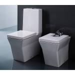 Унитаз-компакт Jacob Delafon REVE с сидением микролифт