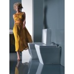 Унитаз-компакт Jacob Delafon REVE с сидением микролифт