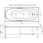 Панель фронтальная для ванны Aquanet Dali 170