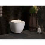 Инсталляция Berges Novum525 с унитазом Okus 48, кнопка L1 белая, быстросъемное сиденье с микролифтом 043263