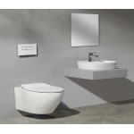 Раковина CeramaLux накладная 610х415х125 овальная белый глянец D1346 Раковина CeramaLux накладная 610х415х125 овальная белый глянец D1346