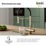 Смеситель Iddis однорычажный для кухни с фильтром и гибким изливом черный/золото ACEMGFFi05