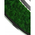 Зеркало Континент Forest Led d 1000 с подсветкой ЗЛП301