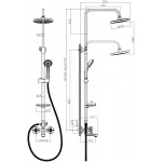 Душевая система Rossinka RS42-46 двуручный для ванны с верхней лейкой "Тропический дождь"