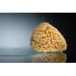 Душевое ограждение Vegas Glass AFP-Fis 100x110x189 распашная дверь профиль золото стекло шиншилла AFP-Fis 100x110 09 02