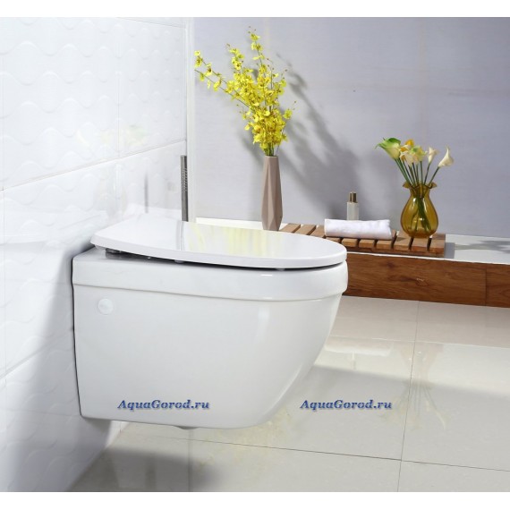 Унитаз подвесной BelBagno Centro-R безободковый BB509CH